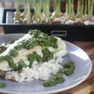 Garlic Greens Chimichurri Sauce with Chilean Sea Bass over Rice