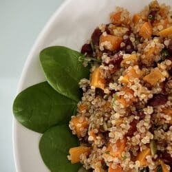 Butternut-Cranberry-Quinoa-Salad